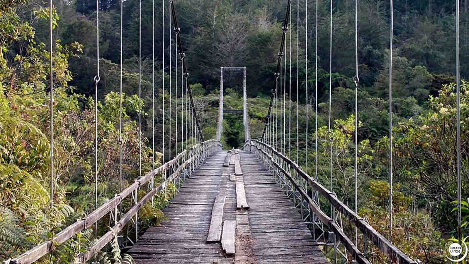 Puente colgante